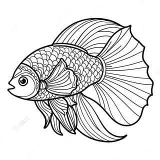 Betta Fish Coloring Pages