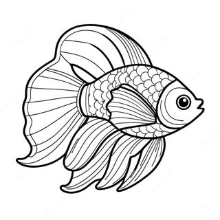 Betta Fish Coloring Page 70582-56699