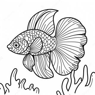 Vibrant Betta Fish In Coral Reef Coloring Page 70583-56711