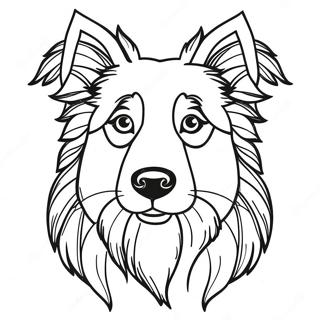 Collie Coloring Pages