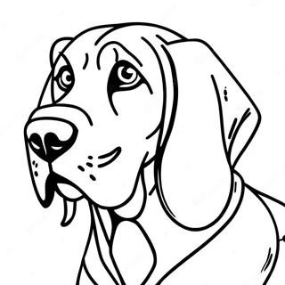 Bloodhound Coloring Pages