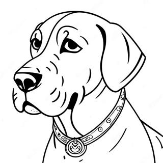 Bloodhound Coloring Page 71842-57707