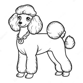 Poodle Coloring Page 7431-6094