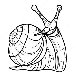 Snail Coloring Pages