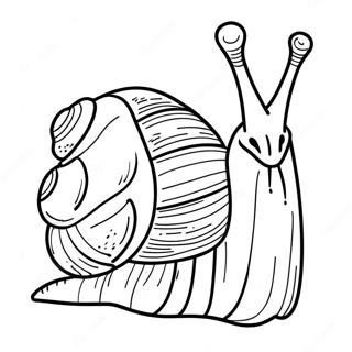 Snail Coloring Page 8511-7144