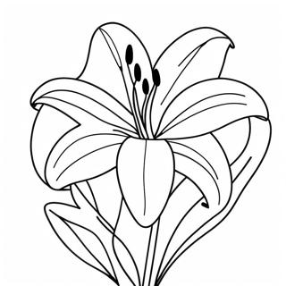 Beautiful Lily Flower In Bloom Coloring Page 8662-7257