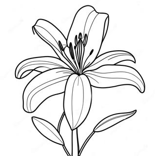 Beautiful Lily Flower In Bloom Coloring Page 8662-7258