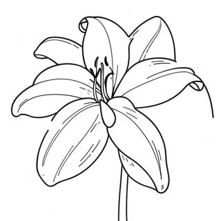 Beautiful Lily Flower In Bloom Coloring Page 8662-7259