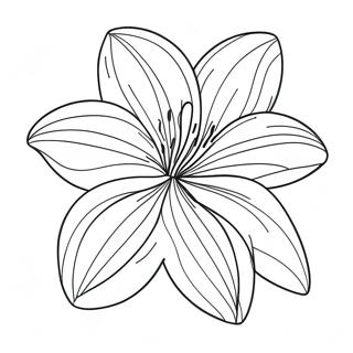 Beautiful Lily Flower In Bloom Coloring Page 8662-7260