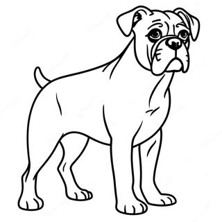 Boxer Dog Coloring Pages