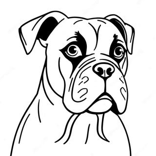 Boxer Dog Coloring Page 9691-8071