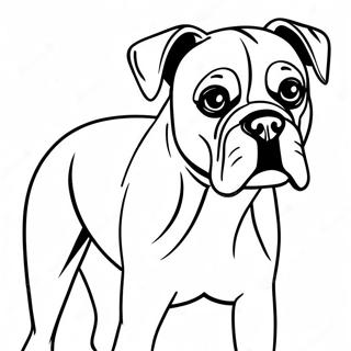 Boxer Dog Coloring Page 9691-8072