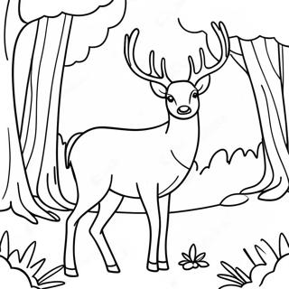 Majestic Deer In Forest Coloring Page 972-776