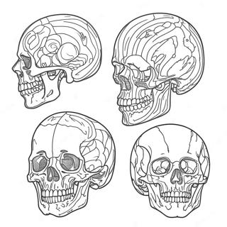 Anatomy Coloring Pages