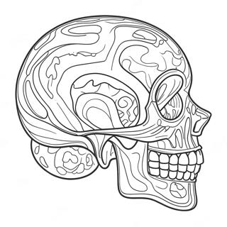 Anatomy Coloring Page 981-780