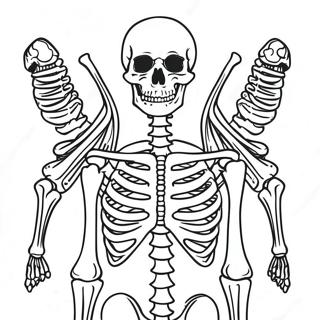 Detailed Human Skeleton Coloring Page 982-783