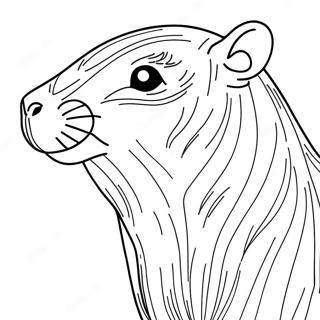 Capybara Coloring Page 9961-8283